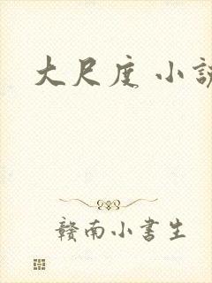 大尺度 小说