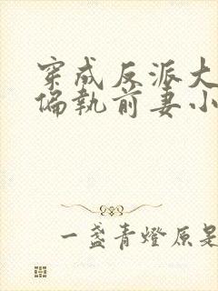 穿成反派大佬的偏执前妻小说封面