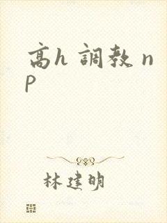 高h 调教 np