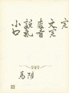 小说爽文完结一口气看完封面