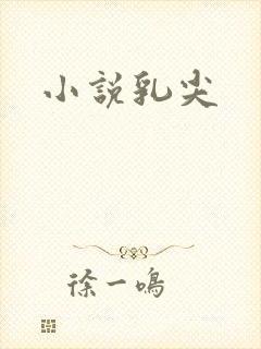 小说乳尖封面