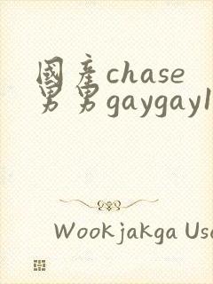 国产chase男男gaygay180网站