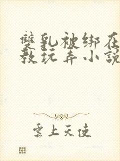 双乳被绑在床调教玩弄小说