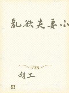 乱欲夫妻小说封面