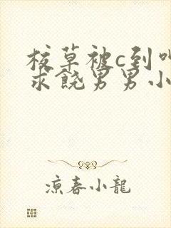 校草被c到呻吟求饶男男小说