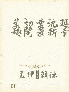 叶初棠沈延川笔趣阁最新章节更新封面