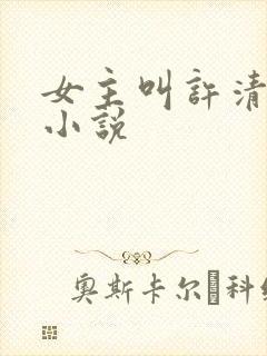 女主叫许清梦的小说