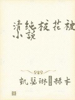 清纯校花被调教小说