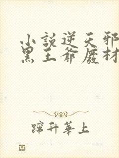 小说逆天邪医兽黑王爷废材妃