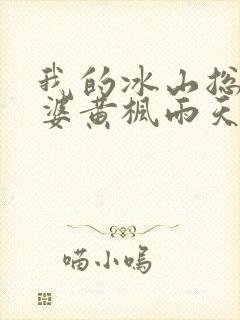 我的冰山总裁老婆黄枫雨天