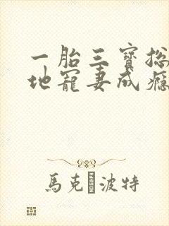 一胎三宝总裁爹地宠妻成瘾大结局封面