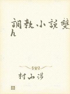 调教小说双性高h