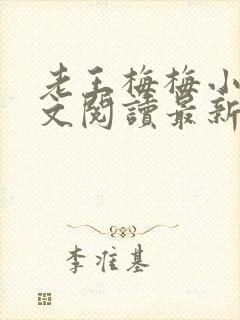 老王梅梅小说全文阅读最新章节更新