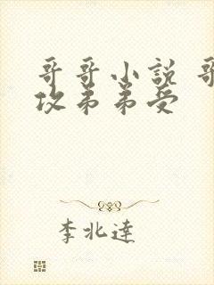 哥哥小说 哥哥攻弟弟受封面