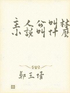 主人公叫林烨的小说叫什么名字