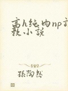 高h纯肉np调教小说