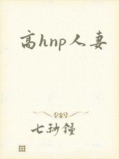 高hnp人妻
