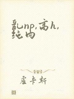乱np,高h,纯肉封面