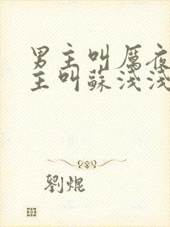 男主叫厉夜霆女主叫苏浅浅的小说