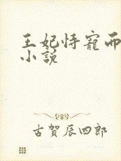 王妃恃宠而骄的小说