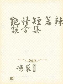 艳情短篇辣文小说合集封面