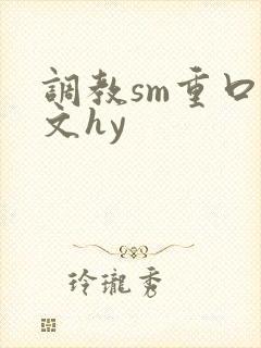 调教sm重口h文hy