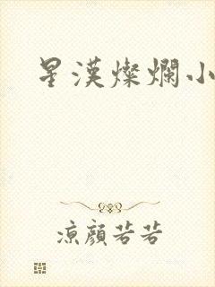 星汉灿烂小说
