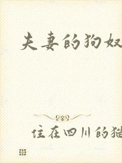 夫妻的狗奴小说封面