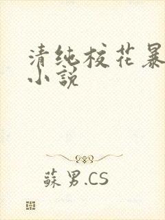 清纯校花暴露记小说
