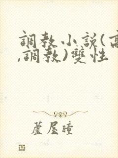 调教小说(高h,调教)双性封面