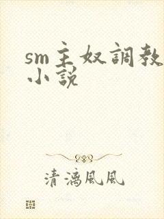 sm主奴调教文小说