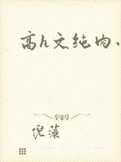 高h文纯肉小说