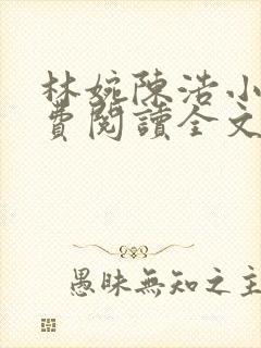 林婉陈浩小说免费阅读全文最新章节