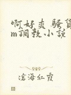 啊好爽 骚货sm调教小说