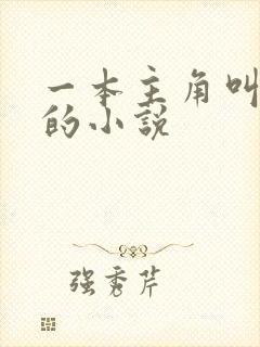 一本主角叫林萧的小说