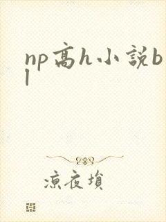 np高h小说bl封面