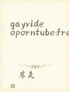 gayvideoporntubefree封面