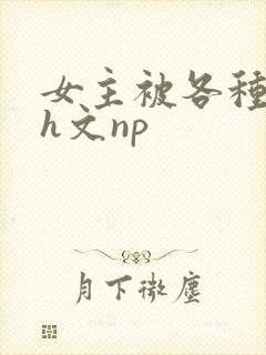女主被各种调教h文np