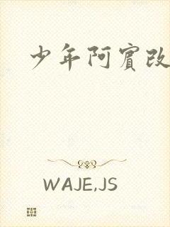 少年阿宾改编版