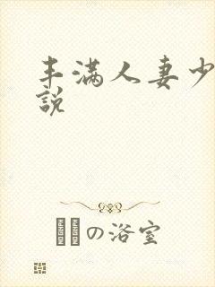 丰满人妻少妇小说