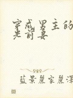 穿成男主的白月光前妻