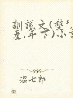 训诫文(双*,产,年下)小说