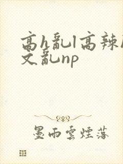 高h乱l高辣h文乱np