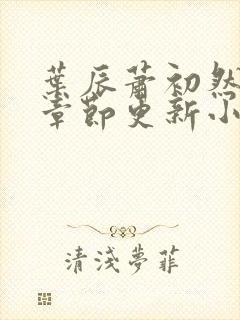 叶辰萧初然最新章节更新小说封面