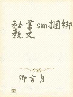 秘书sm捆绑调教文