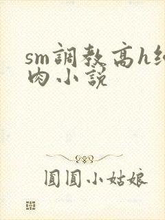 sm调教高h纯肉小说