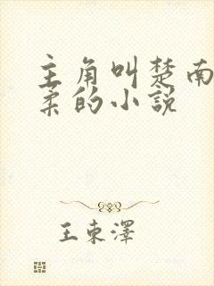 主角叫楚南秦雅柔的小说