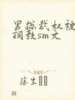 男总裁奴被绳绑调教sm文