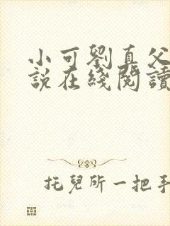 小可刘真父女小说在线阅读封面