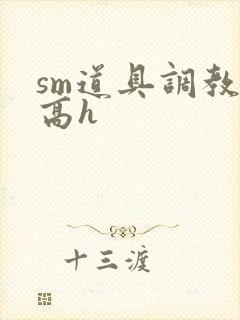 sm道具调教文高h